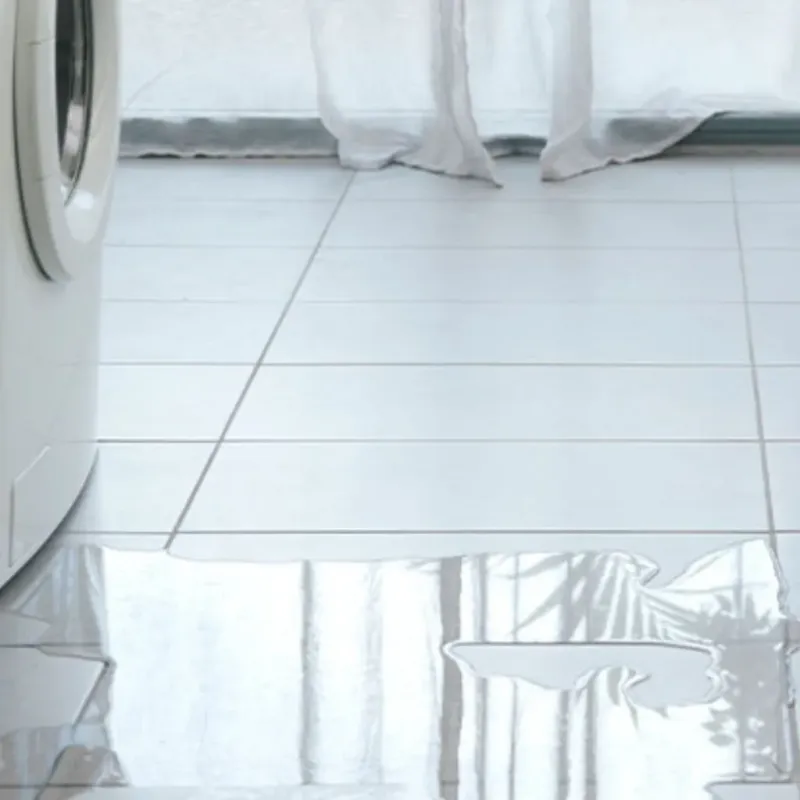 Appliance Leak Cleanup in Black Earth, WI