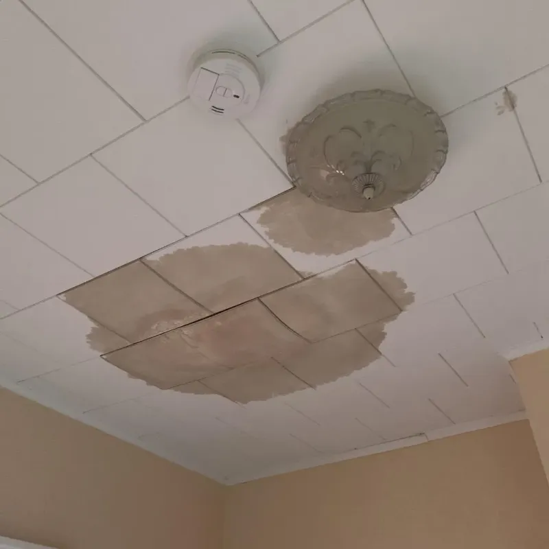 Ceiling Water Damage Repair in Black Earth, WI