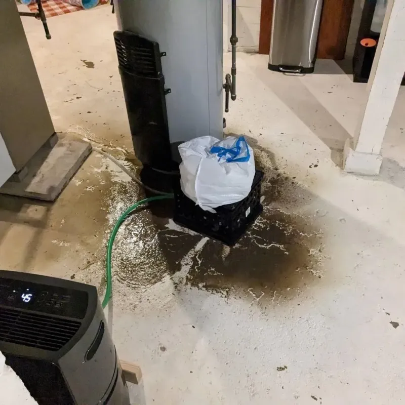 Sewage Backup Cleanup Service in Black Earth, WI
